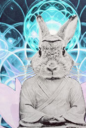 Buddha Bunny (detail)
