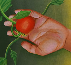 Tomate (detail)