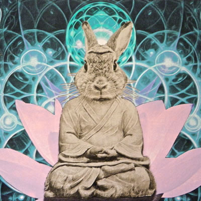 Buddha Bunny